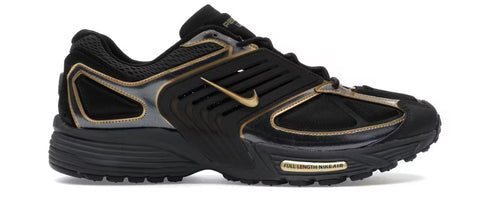 Pegasus 2005